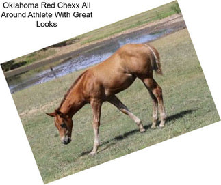 Oklahoma Red Chexx All Around Athlete With Great Looks