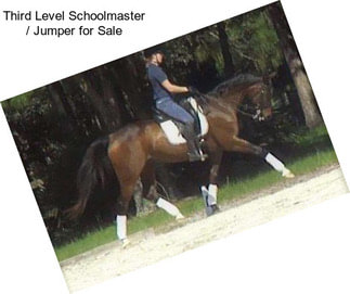 Third Level Schoolmaster / Jumper for Sale