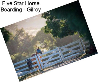 Five Star Horse Boarding - Gilroy