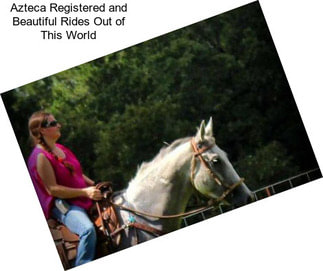 Azteca Registered and Beautiful Rides Out of This World