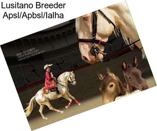 Lusitano Breeder Apsl/Apbsl/Ialha