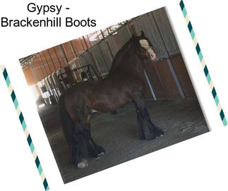 Gypsy - Brackenhill Boots