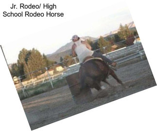Jr. Rodeo/ High School Rodeo Horse