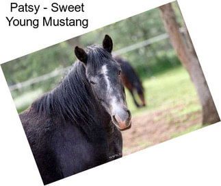 Patsy - Sweet Young Mustang