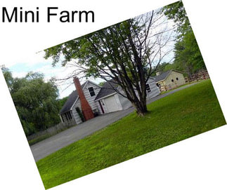 Mini Farm