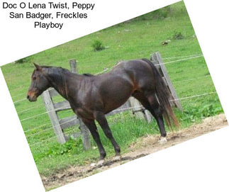 Doc O Lena Twist, Peppy San Badger, Freckles Playboy