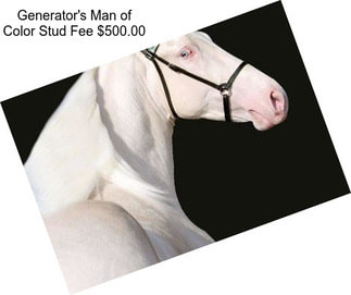 Generator\'s Man of Color Stud Fee $500.00