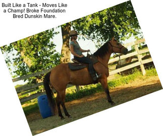 Built Like a Tank - Moves Like a Champ! Broke Foundation Bred Dunskin Mare.