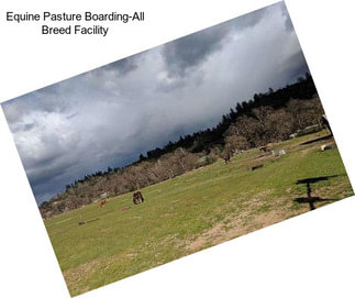 Equine Pasture Boarding-All Breed Facility