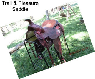 Trail & Pleasure Saddle