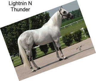 Lightnin N Thunder