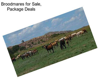 Broodmares for Sale, Package Deals