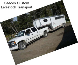 Caecos Custom Livestock Transport