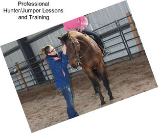 Professional Hunter/Jumper Lessons and Training