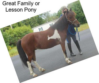 Great Family or Lesson Pony