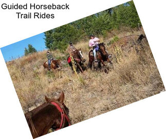 Guided Horseback Trail Rides