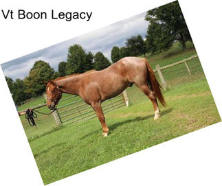 Vt Boon Legacy