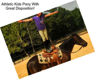 Athletic Kids Pony With Great Disposition!