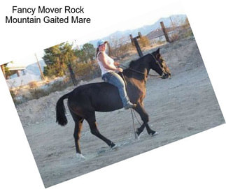 Fancy Mover Rock Mountain Gaited Mare