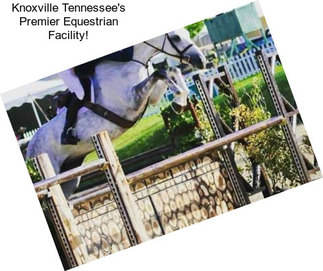 Knoxville Tennessee\'s Premier Equestrian Facility!