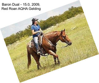 Baron Dual - 15.0, 2009, Red Roan AQHA Gelding