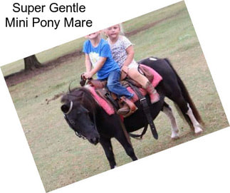 Super Gentle Mini Pony Mare