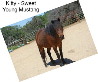 Kitty - Sweet Young Mustang