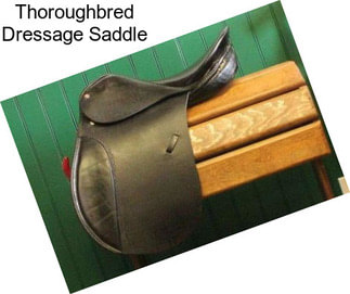 Thoroughbred Dressage Saddle