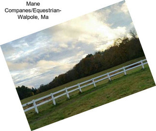 Mane Companes/Equestrian- Walpole, Ma