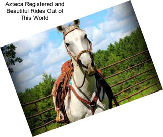 Azteca Registered and Beautiful Rides Out of This World