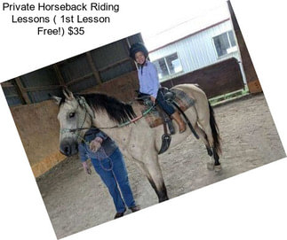 Private Horseback Riding Lessons ( 1st Lesson Free!) $35