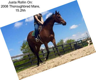 Justa Rollin On: 2008 Thoroughbred Mare, 15.2hh