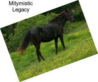 Mitymistic Legacy