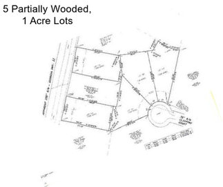 5 Partially Wooded, 1 Acre Lots