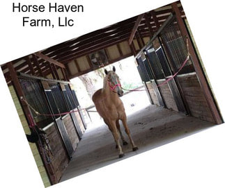 Horse Haven Farm, Llc