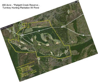 480 Acre - *Padgett Creek Reserve - Turnkey Hunting Plantation W/ Pond