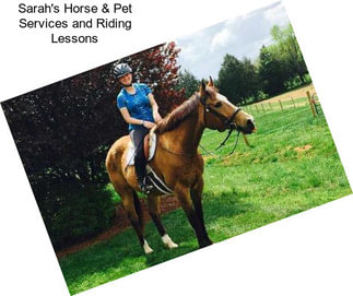 Sarah\'s Horse & Pet Services and Riding Lessons
