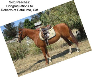 Sold/Peaches: Congratulations to Roberto of Petaluma, Ca!