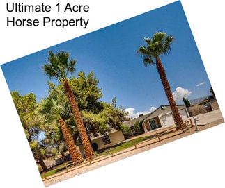 Ultimate 1 Acre Horse Property