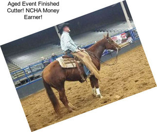 Aged Event Finished Cutter! NCHA Money Earner!