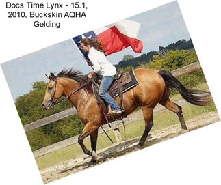 Docs Time Lynx - 15.1, 2010, Buckskin AQHA Gelding