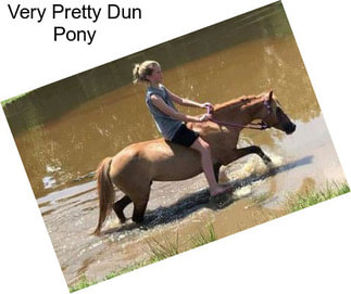 Very Pretty Dun Pony