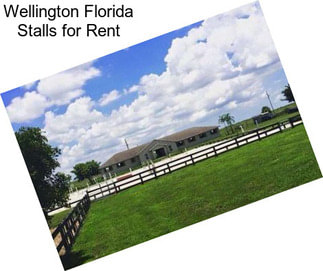 Wellington Florida Stalls for Rent