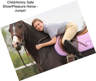 Child/Ammy Safe Show/Pleasure Horse - Jumps!