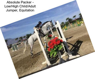 Absolute Packer - Low/High Child/Adult Jumper, Equitation