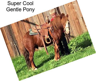 Super Cool Gentle Pony