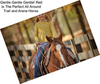 Gentle Gentle Gentle! Red is The Perfect All Around Trail and Arena Horse.