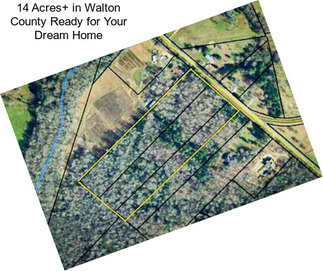 14 Acres+ in Walton County Ready for Your Dream Home