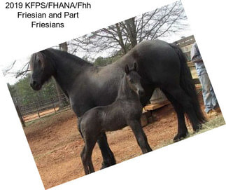 2019 KFPS/FHANA/Fhh Friesian and Part Friesians