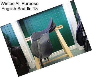 Wintec All Purpose English Saddle 18\